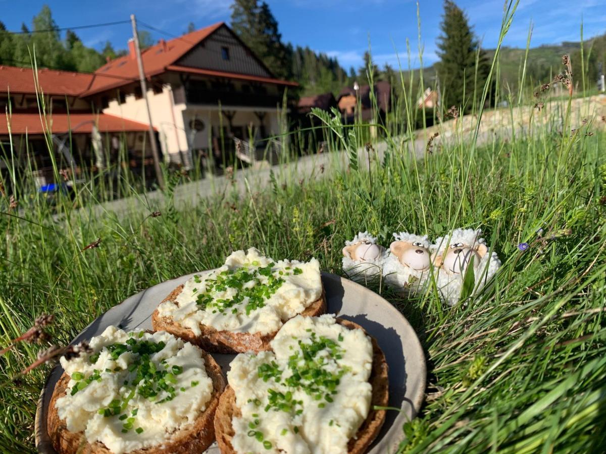Penzion Solisko*** Ócsad Kültér fotó